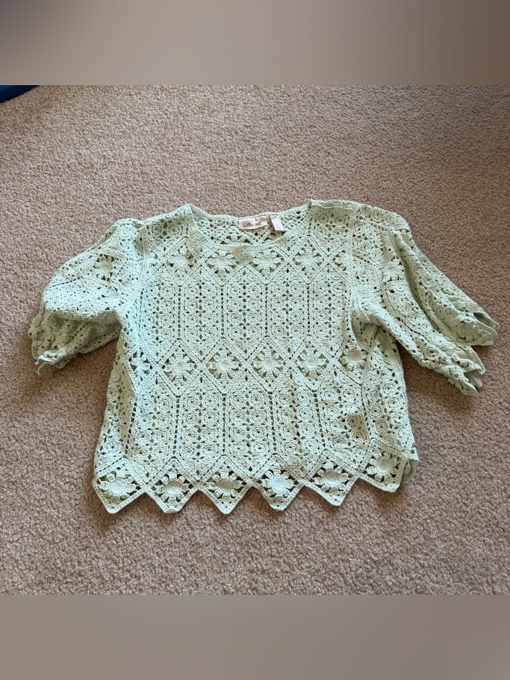 Will and root light green Crochet Lace Short Sleeve Top - Picture 2 of 4